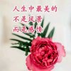 我就是我不一样的烟火的头像