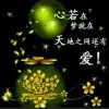 随缘遇见的头像