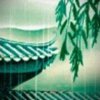 三月雨的头像