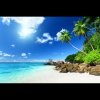 海阔天空的头像