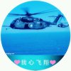 我心飞翔的头像