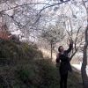 半帘花影的头像