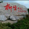 AAA风中尘埃的头像