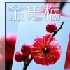 歌韵金隽梅（爱粉有访必回）的头像