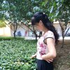 万事如意（忙，停～）的头像