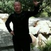 吉祥如意的头像