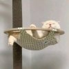 橘色の光的头像