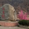 芸芸的头像