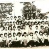 天知音张慈的头像