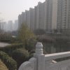 小鸟依人的头像