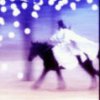冷雪独行(退)的头像