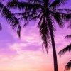 太阳的头像