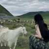 慧滴的头像