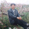 盐都情哥的头像