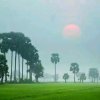 刘波含  (蔚蓝)的头像