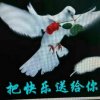 自由飞翔的头像