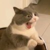 *的头像