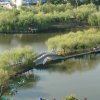 歌乐永恒的头像