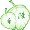 牵挂的头像