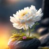 清风明月的头像