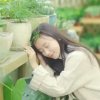 雨桐（忙）如没关注到抱歉……的头像