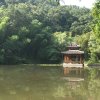 阳光的头像