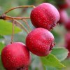 岁月无声的头像