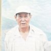 林海弦音的头像