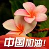 快乐人生《暂离》的头像