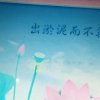 舫的头像