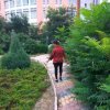 平安就好的头像