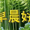 马骏的头像