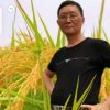 今生有缘的头像
