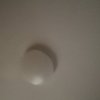琴铃缘.幸福的头像
