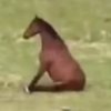  jack的头像