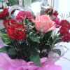 玫瑰的头像