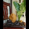 铜锣湾小桂(微信号13870126146)的头像