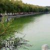 娟的头像