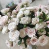 姐妹花的头像