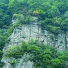 雲裳我只在乎你【发展部长】的头像