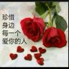 凡音雨晨的头像