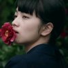 木棉的春天的头像