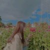dream gril的头像