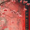 花瓣雨薇的头像