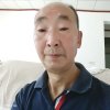 长青松的头像