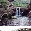 land road的头像