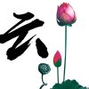 异乡的云的头像