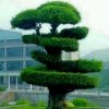 默默无闻的头像