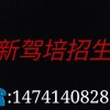 姐的范儿你学不来的头像