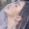 蓝玫瑰之恋《暂退》的头像